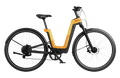 Carbon Fusion GT Ebike