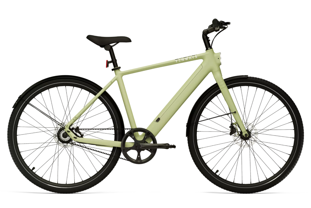 CGO600 Pro Ebike