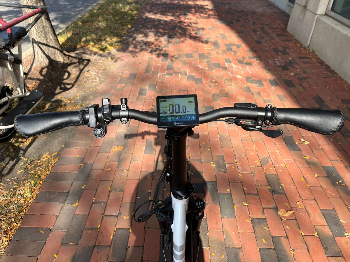 Premium 3 Torque LS Ebike