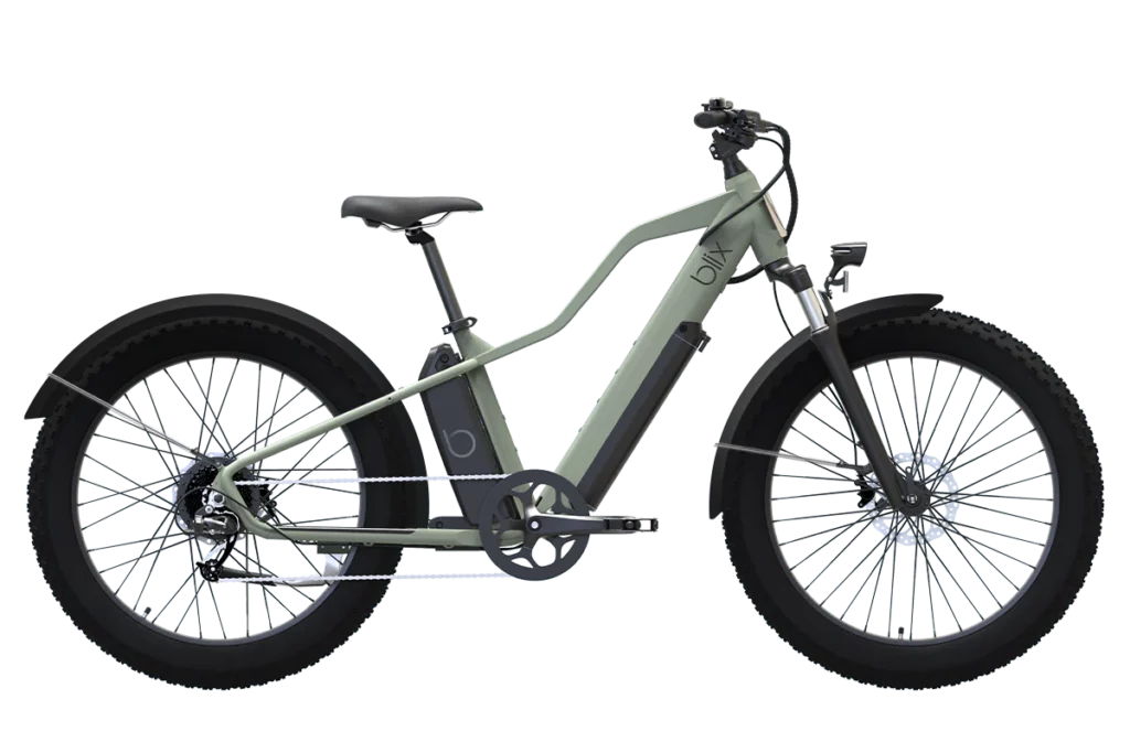 Ultra Dual Battery Ebike
