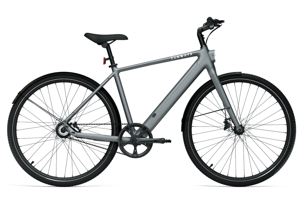CGO600 Pro Ebike