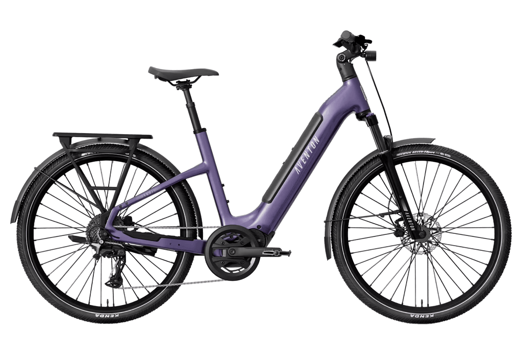 Level 4 ADV Step-Through Ebike