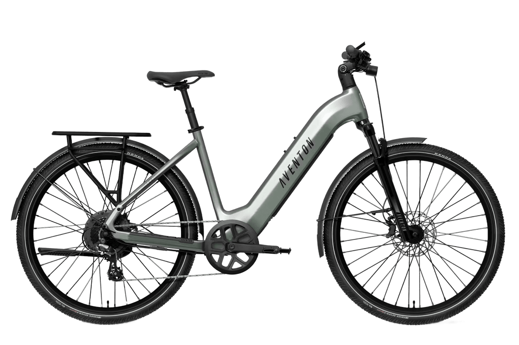 Level 4 REC Step-Through Ebike