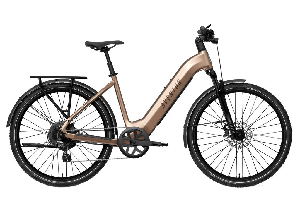 Level 4 REC Step-Through Ebike