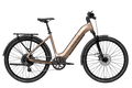 Level 4 REC Step-Through Ebike