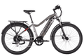 Level 2 Ebike