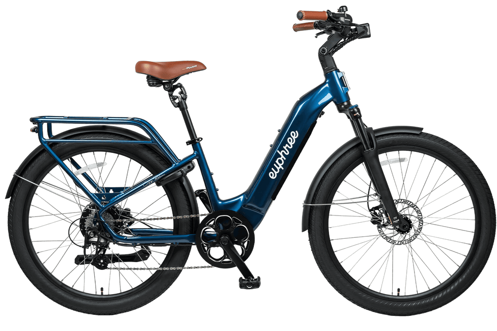 City Robin X+ Ebike