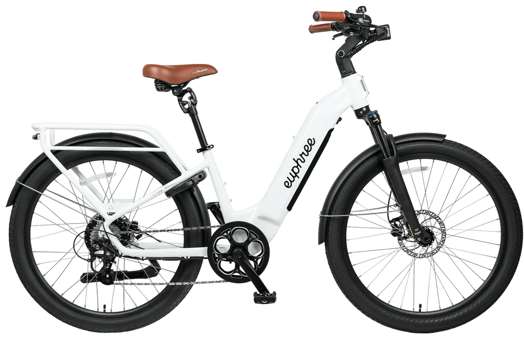 City Robin X+ Ebike
