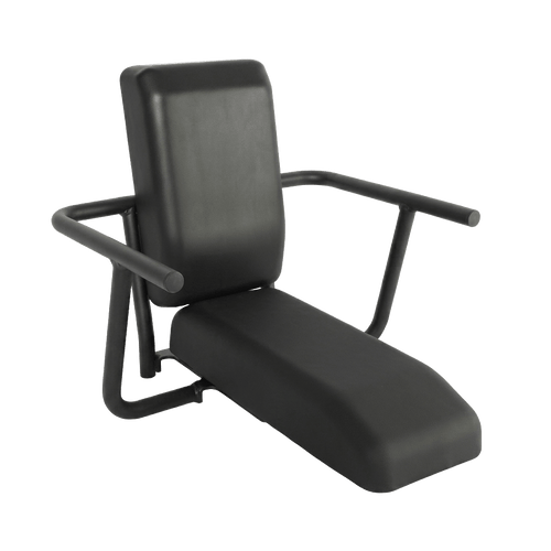 Aventon Captain's Chair Child Seat - Abound SR & LR | Strictly E-Bikes