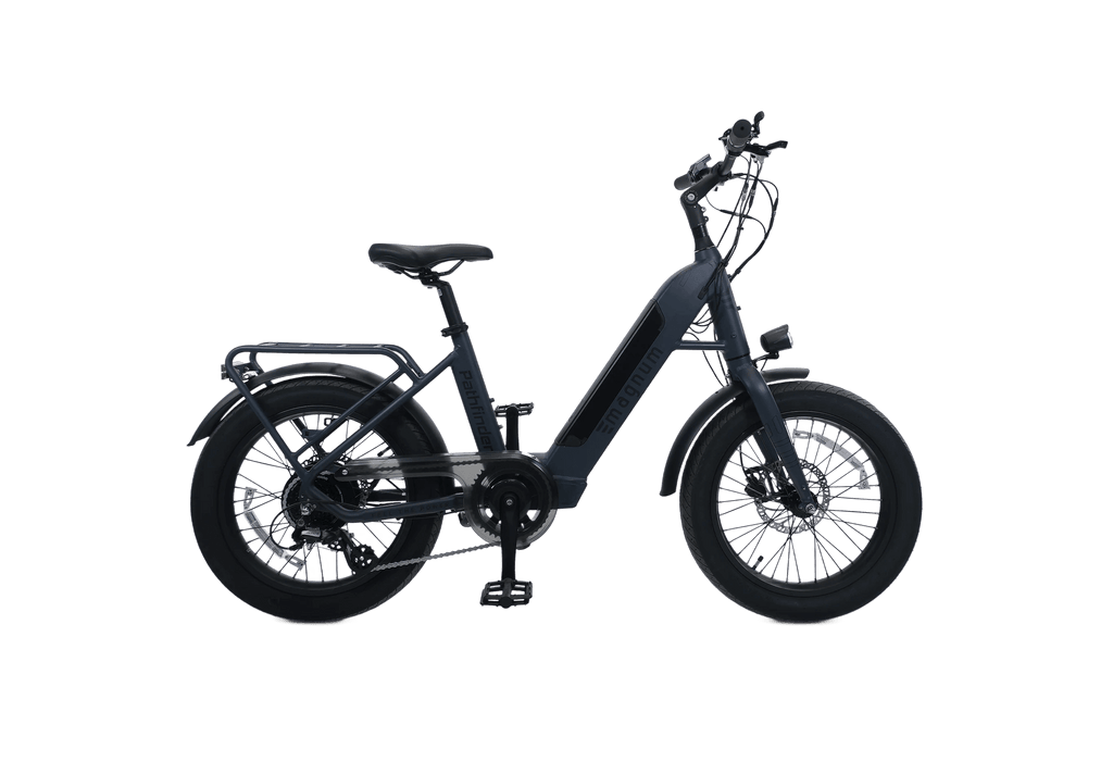 Pathfinder 500 Ebike