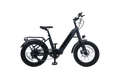 Pathfinder 500 Ebike