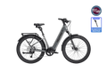 Discover 3 Ebike