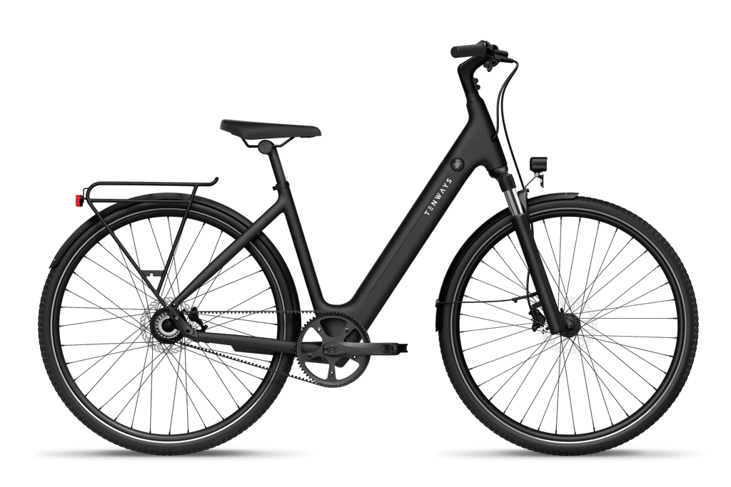 CGO800S Ebike