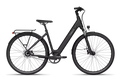 CGO800S Ebike