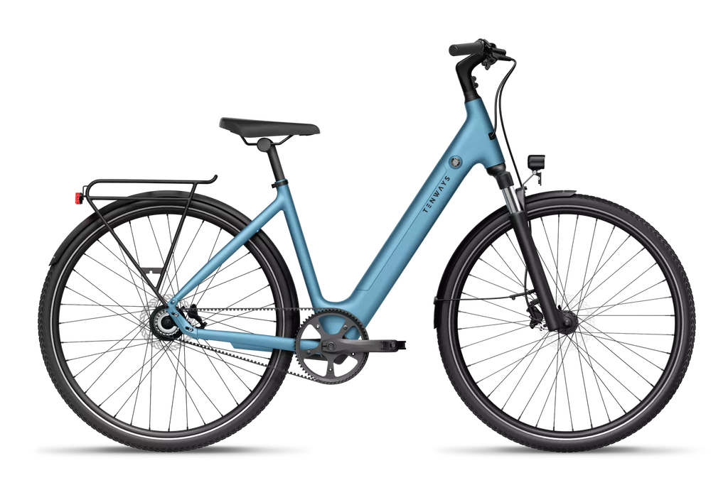 CGO800S Ebike