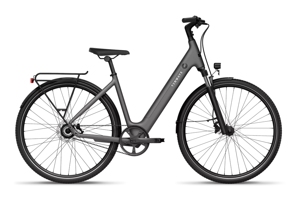 CGO800S Ebike